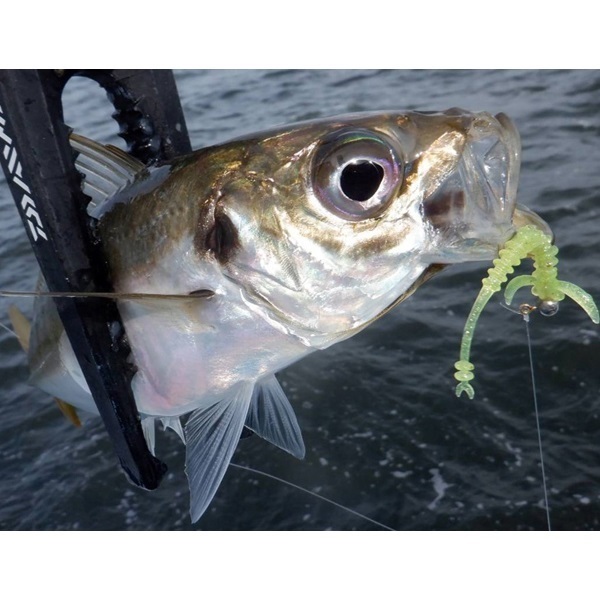 月下美人　ブレーキンビーム　2.0インチ